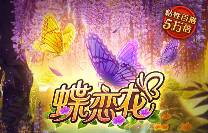 九博体育官网入口